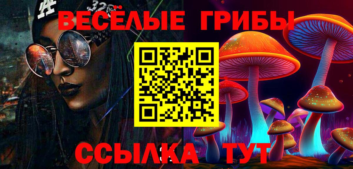 Псилоцибиновые грибы Psilocybine cubensis  Вход с VPN  Гурьевск 